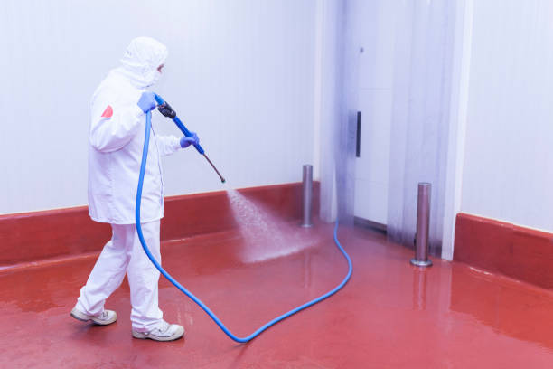 Best Soft Washing  in Franklin, PA